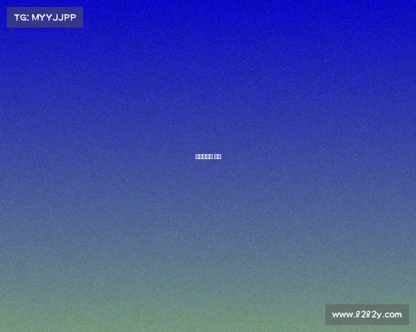 跆拳道比赛 儿童 跆拳道比赛 儿童